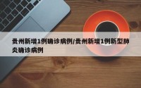 贵州新增1例确诊病例/贵州新增1例新型肺炎确诊病例