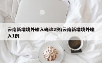 云南新增境外输入确诊2例/云南新增境外输入1例
